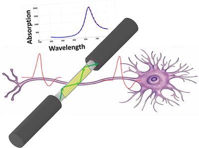 Recording Neural Activity Based on Surface Plasmon Resonance by Optical Fibers-A Computational Analysis